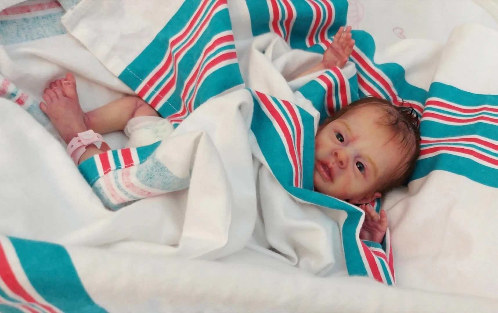 Enchanted Kreature Kits